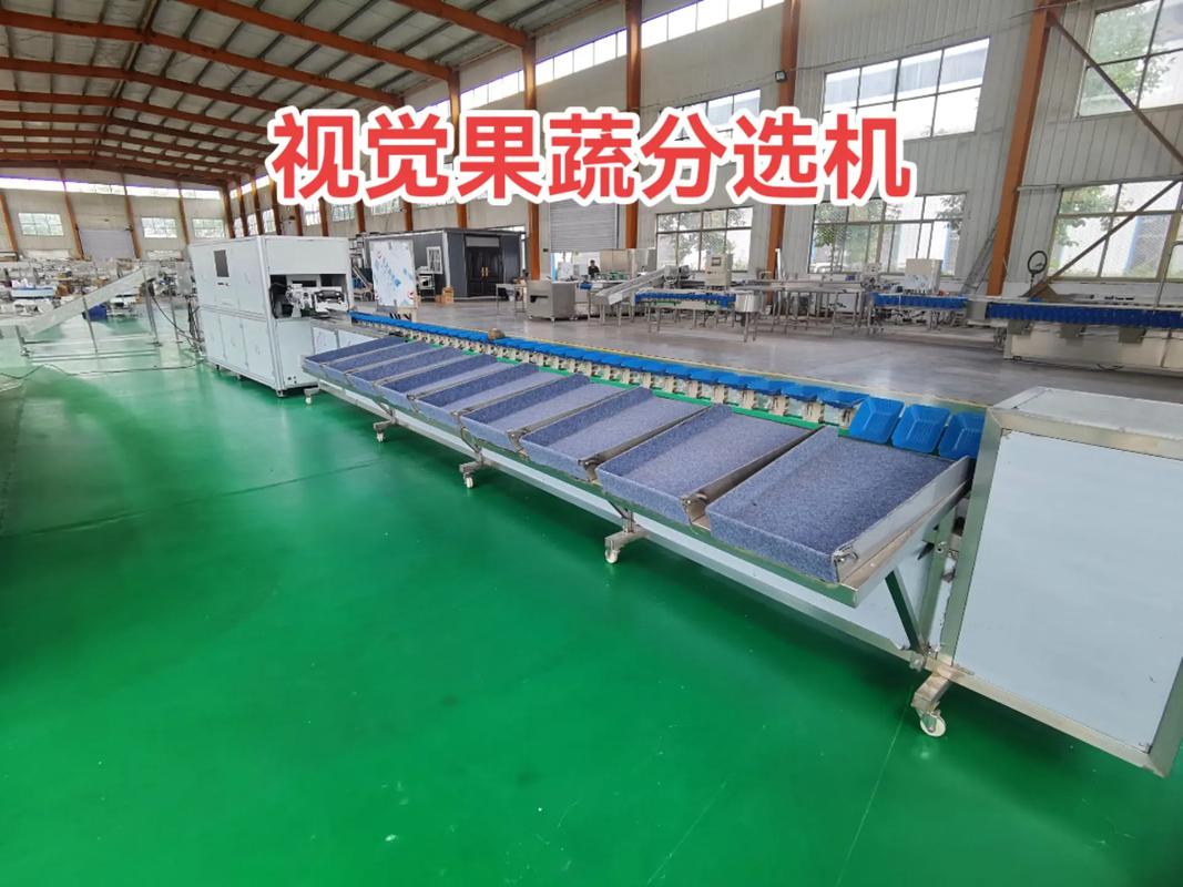 怎樣以重量來分選果蔬？***常見的機械需要考慮哪些因素？