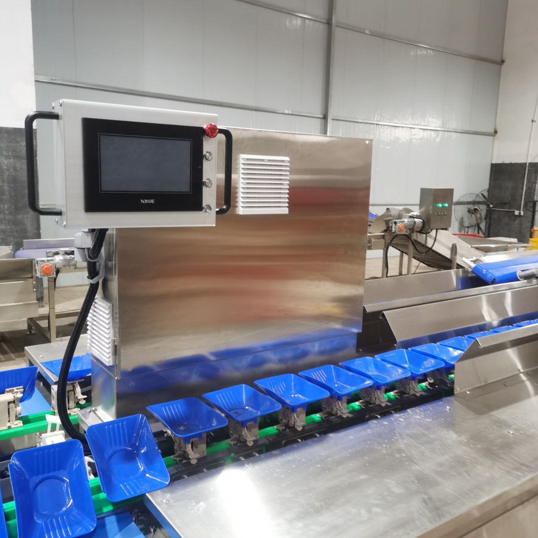 果蔬分選機的方案 果蔬分選機的方案