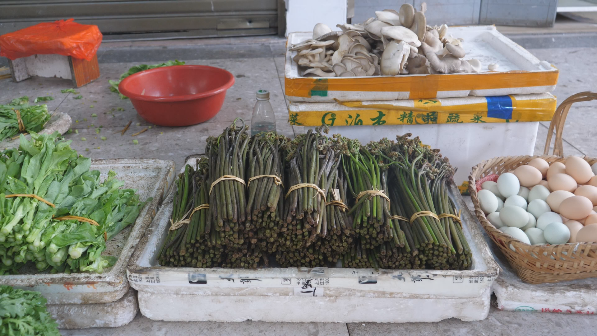 蕨菜市場調(diào)研