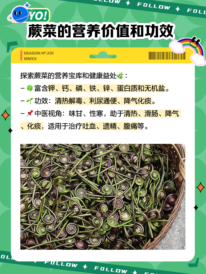 蕨菜的質(zhì)量檢測