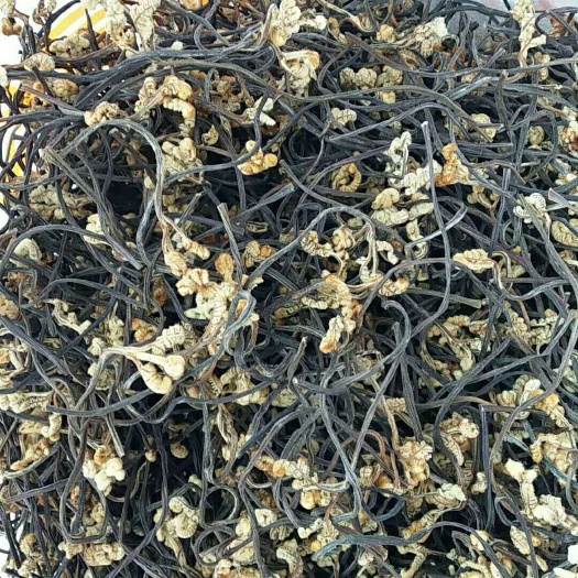 蕨菜功能區(qū)域規(guī)劃