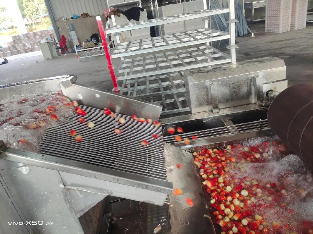 草莓果汁加工廠實際案例