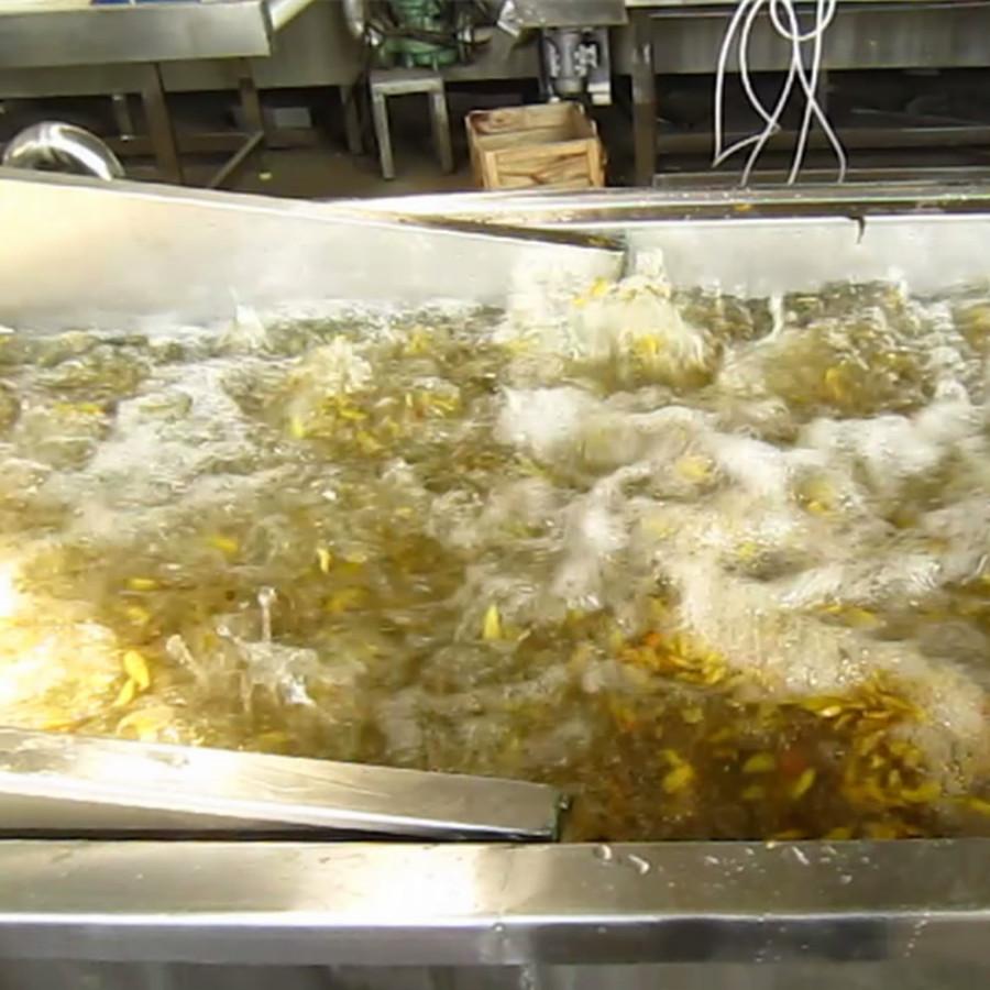 小米椒清洗流水線的選擇應(yīng)該注意什么，價(jià)格怎么樣？