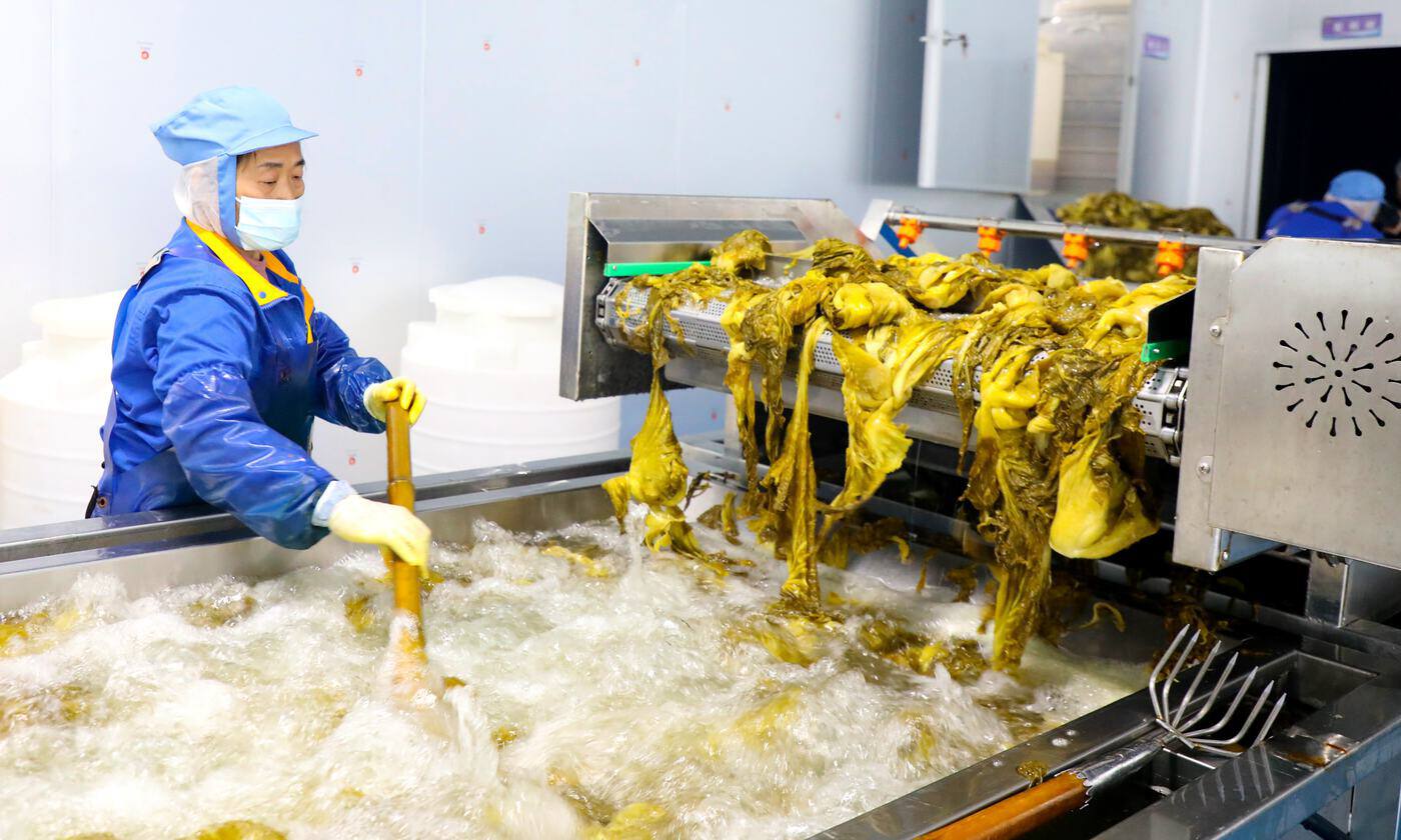 泡菜泡椒全自動(dòng)生產(chǎn)線形態(tài)解析及案例參考(圖2) d70b7850-da55-403e-88be-6a0c57e17657c1o2v3e4rTe5x.JPG