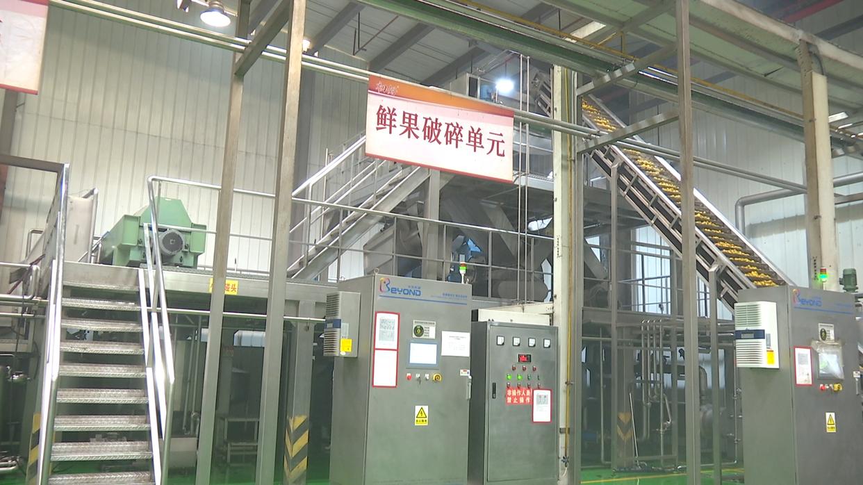 水城區(qū)：企業(yè)“鎖鮮”壓榨生產(chǎn)忙，精深加工助力刺梨“身價倍增”(圖2)