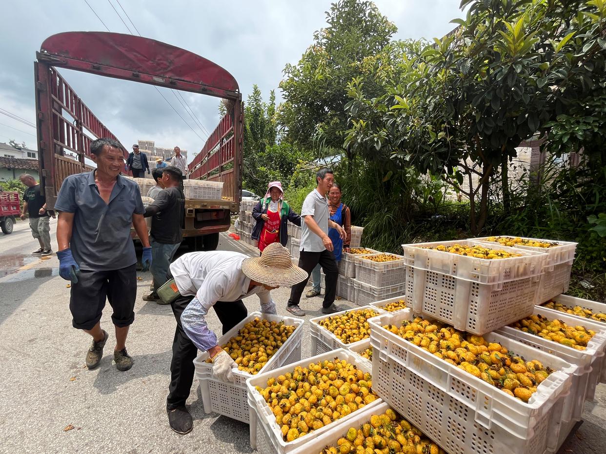 水城區(qū)：企業(yè)“鎖鮮”壓榨生產(chǎn)忙，精深加工助力刺梨“身價倍增”(圖8)